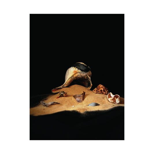 Fantasy Beach Satin Posters