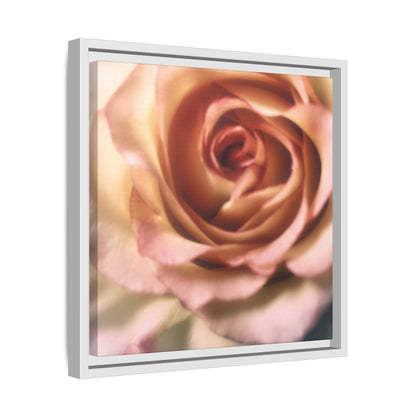 Romance Pink Rose Matte Framed Canvas