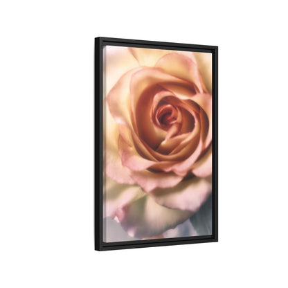 Romance Pink Rose Matte Framed Canvas
