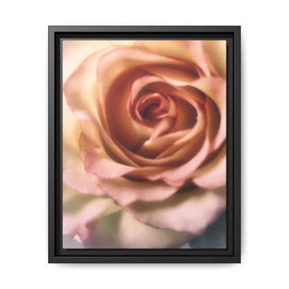 Romance Pink Rose Matte Framed Canvas