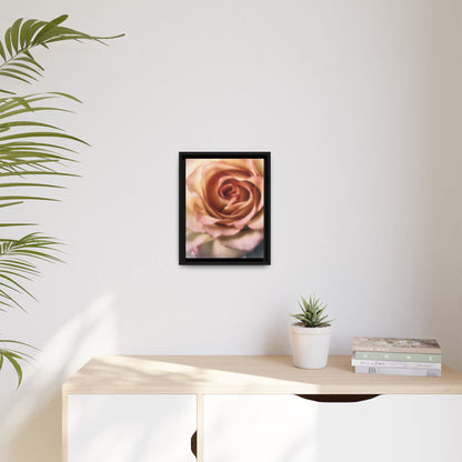 Romance Pink Rose Matte Framed Canvas