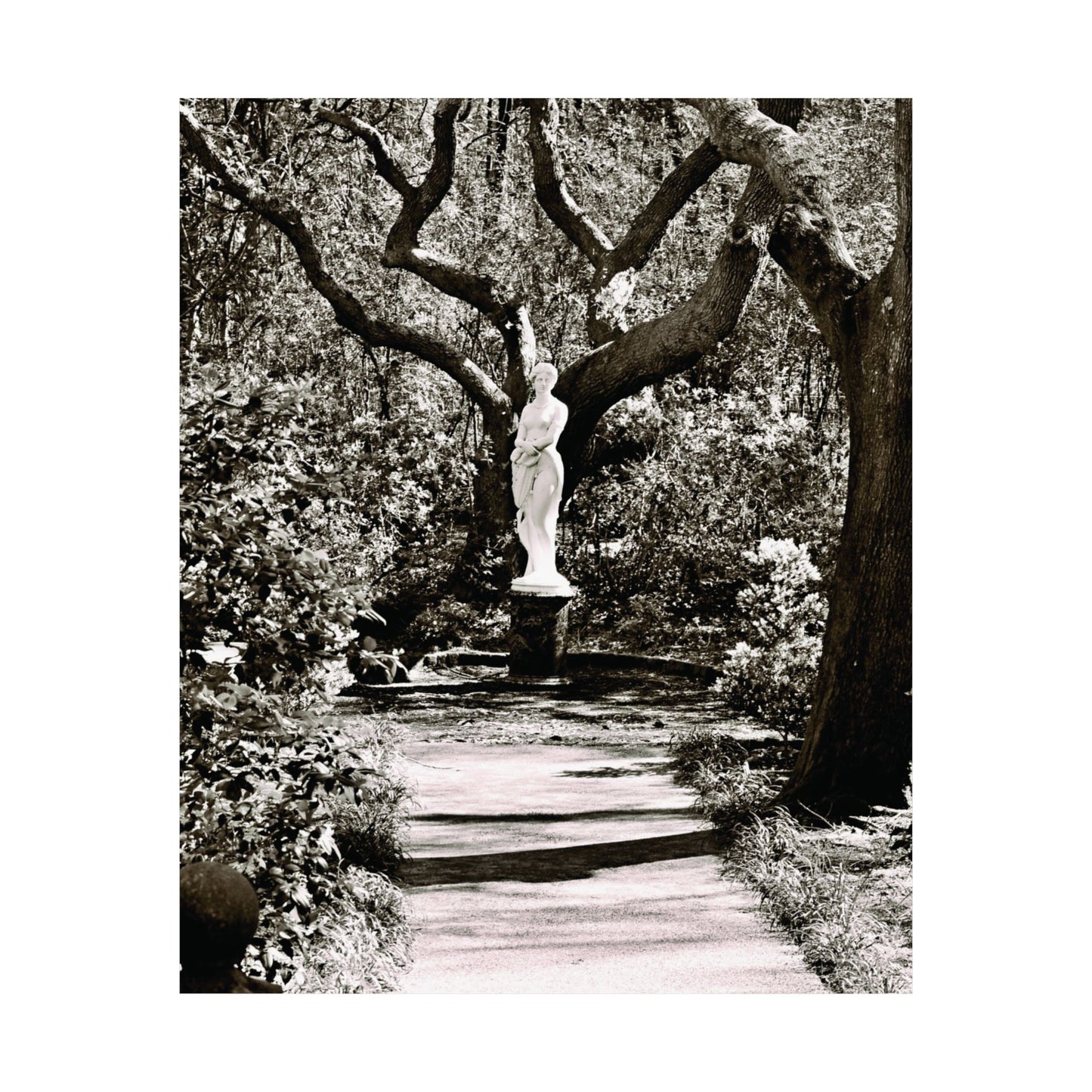 At the Center of the Garden Matte Posters