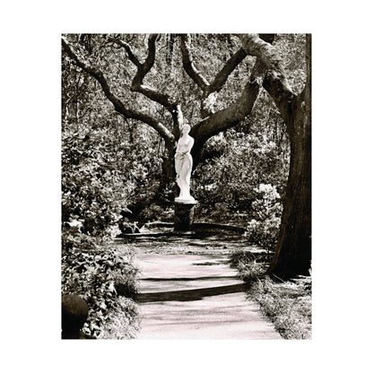 At the Center of the Garden Matte Posters