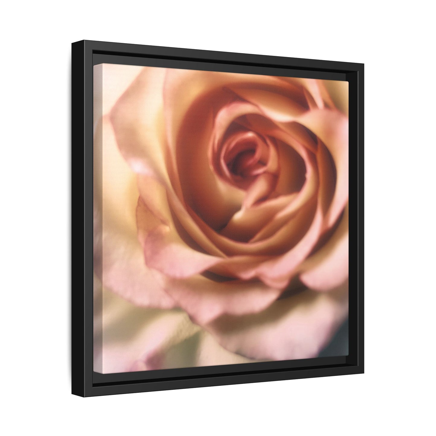 Romance Pink Rose Matte Framed Canvas