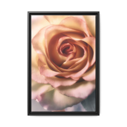 Romance Pink Rose Matte Framed Canvas