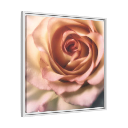 Romance Pink Rose Matte Framed Canvas