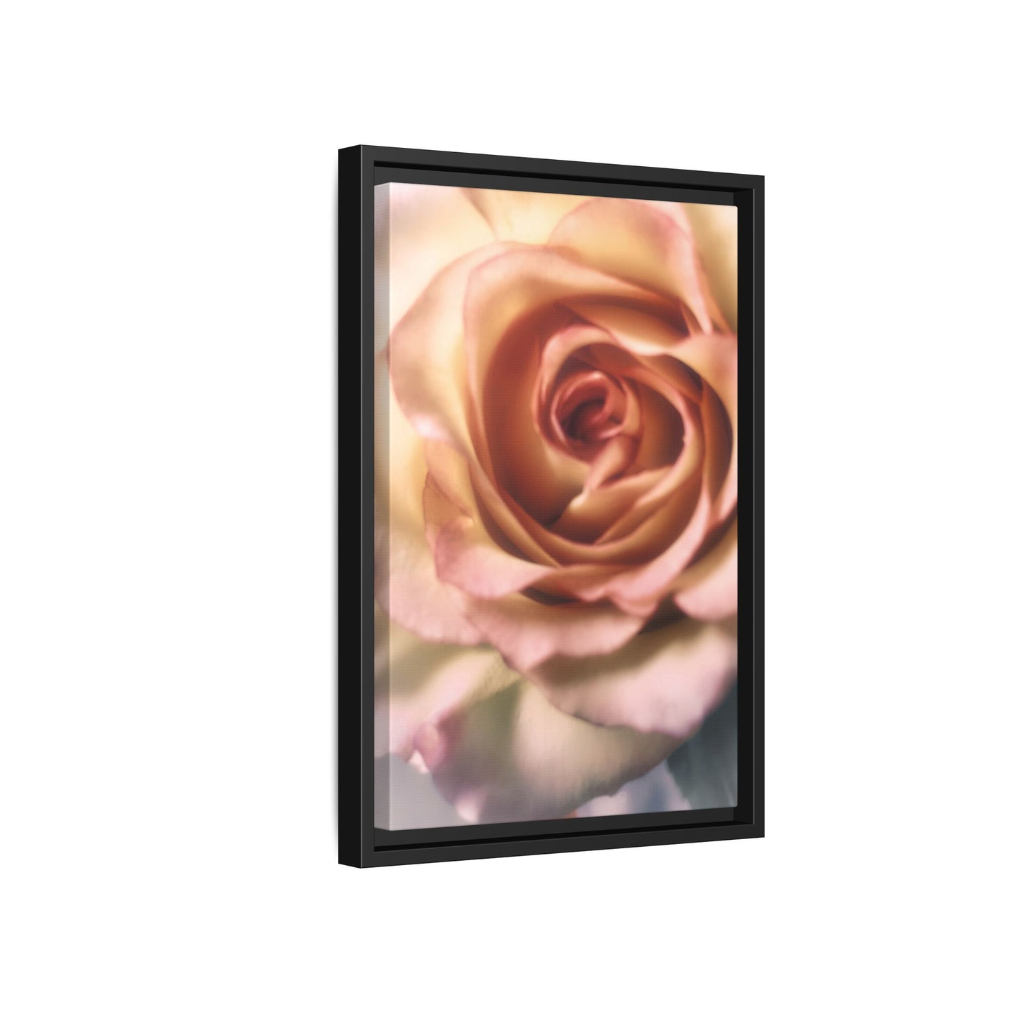 Romance Pink Rose Matte Framed Canvas