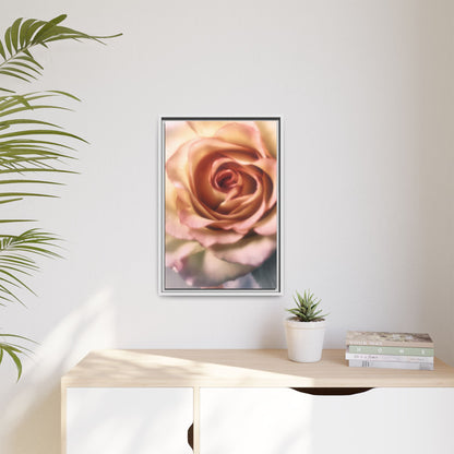 Romance Pink Rose Matte Framed Canvas