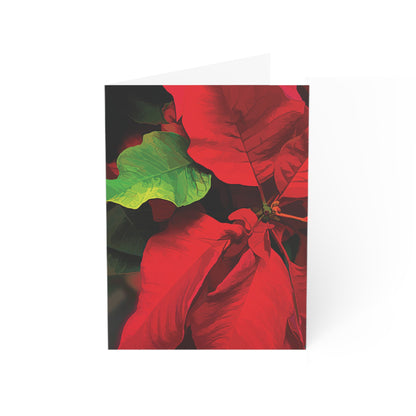 Poinsettia Blank Greeting Cards
