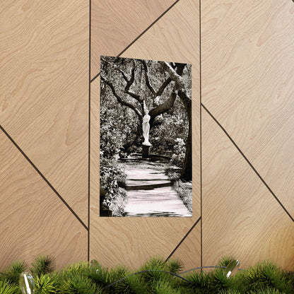 At the Center of the Garden Matte Posters