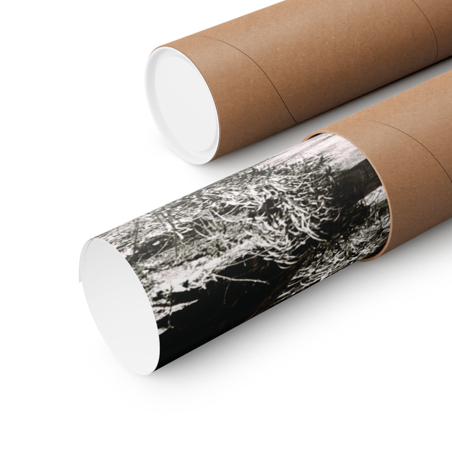 At the Center of the Garden Matte Posters