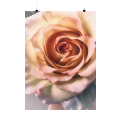 Romance Pink Rose Matte Posters