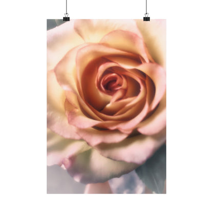 Romance Pink Rose Matte Posters