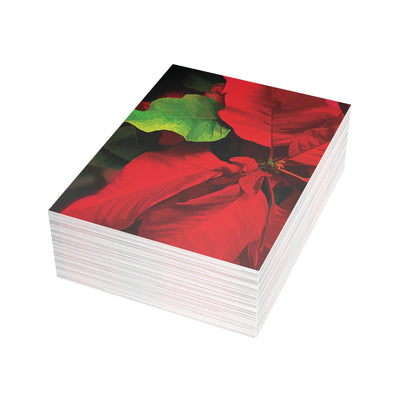 Poinsettia Blank Greeting Cards