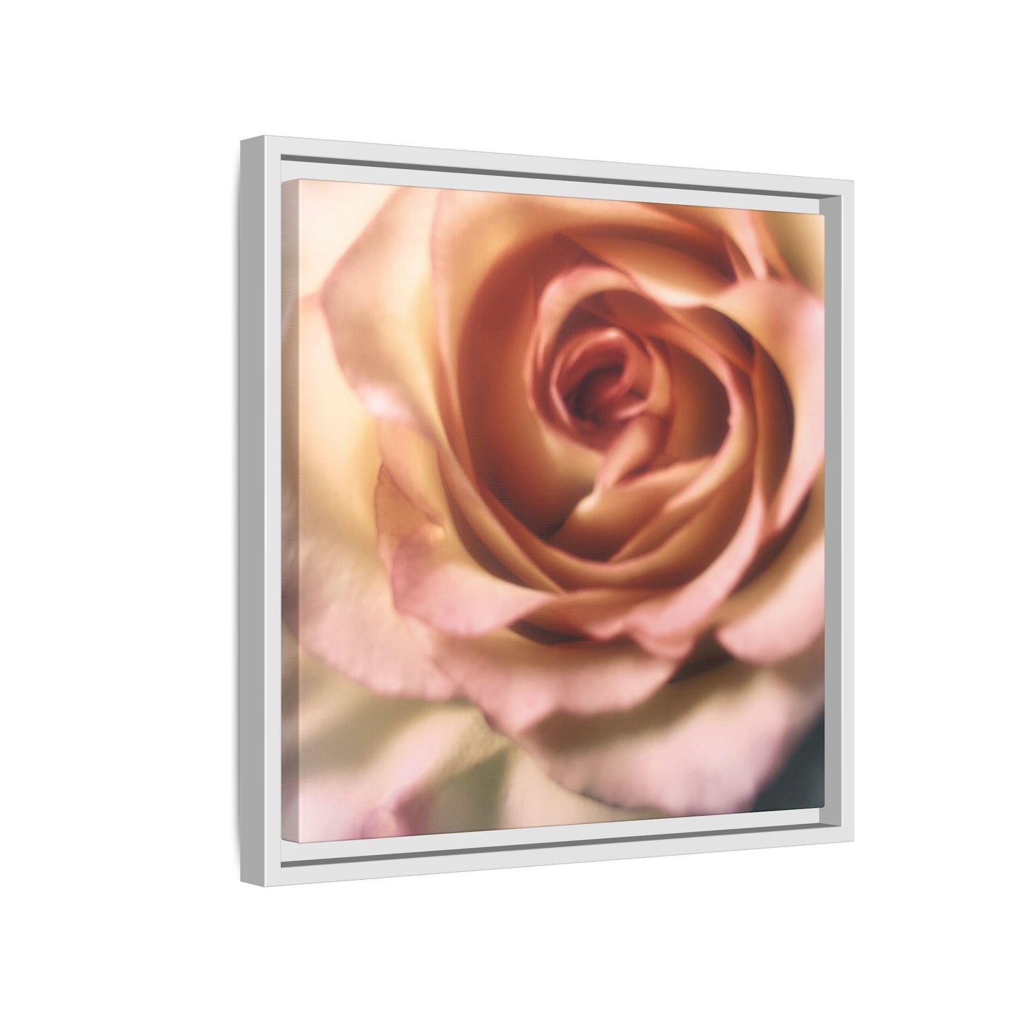 Romance Pink Rose Matte Framed Canvas