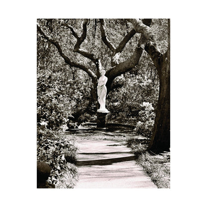 At the Center of the Garden Matte Posters