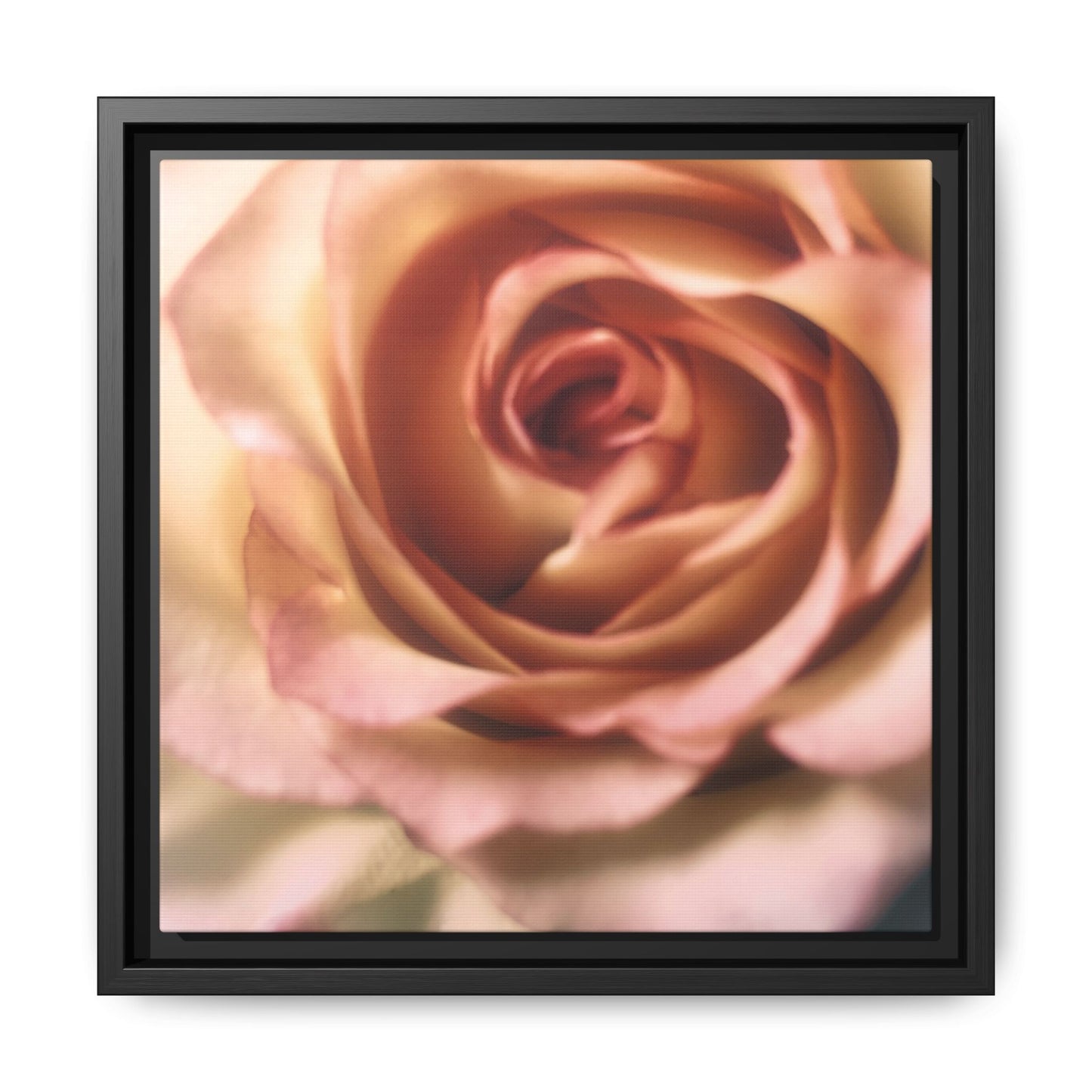 Romance Pink Rose Matte Framed Canvas