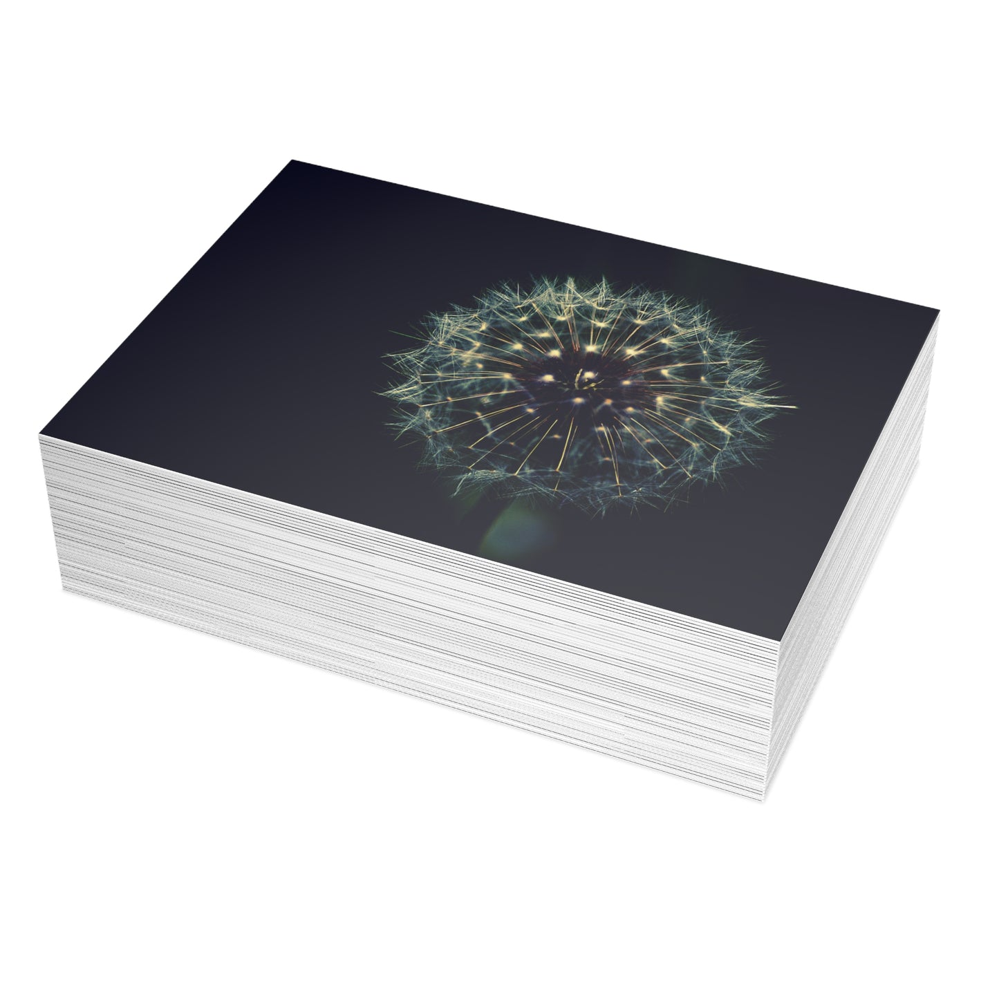 Dandelion Wishes Blank Greeting Cards