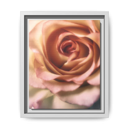 Romance Pink Rose Matte Framed Canvas