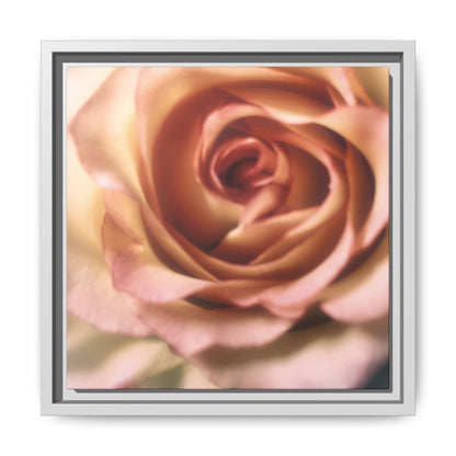 Romance Pink Rose Matte Framed Canvas