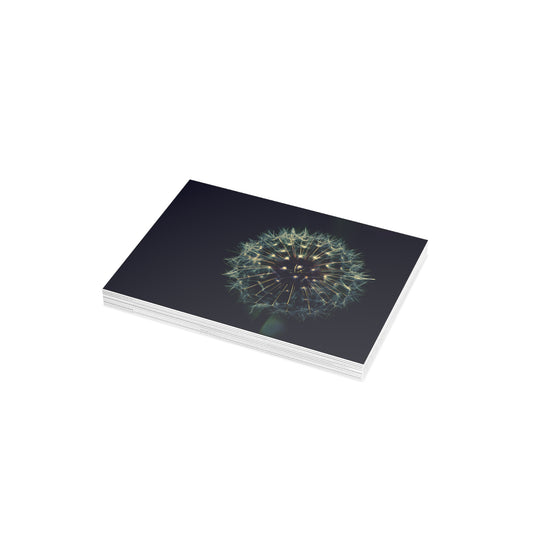 Dandelion Wishes Blank Greeting Cards