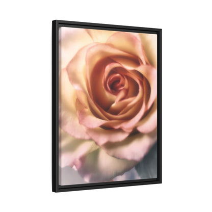 Romance Pink Rose Matte Framed Canvas