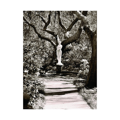 At the Center of the Garden Matte Posters