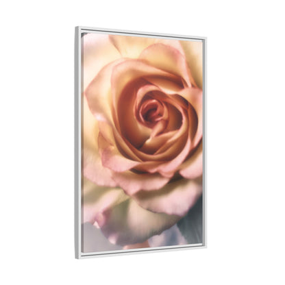 Romance Pink Rose Matte Framed Canvas