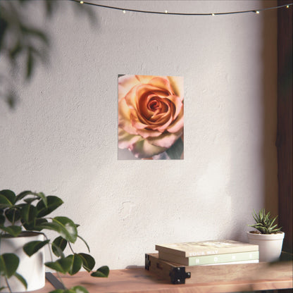 Romance Pink Rose Matte Posters