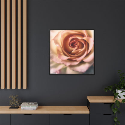 Romance Pink Rose Matte Framed Canvas