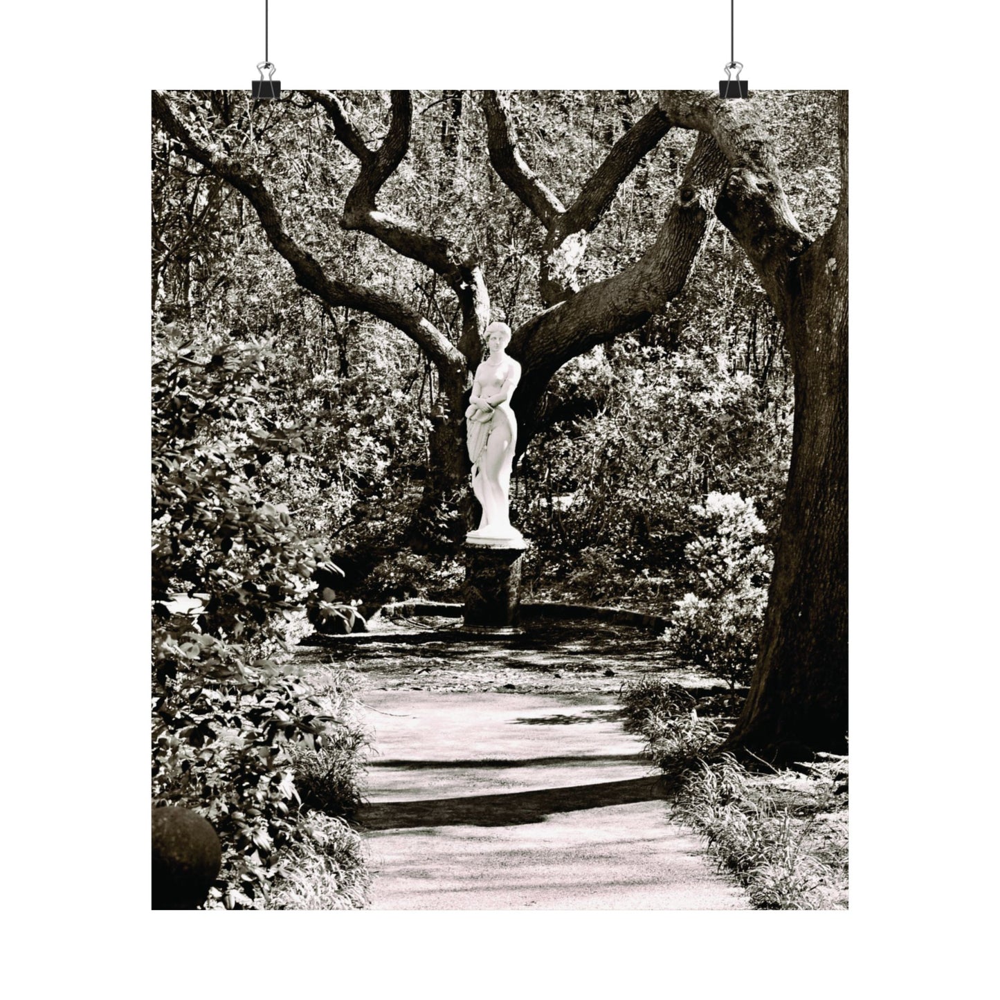 At the Center of the Garden Matte Posters