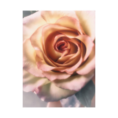 Romance Pink Rose Matte Posters