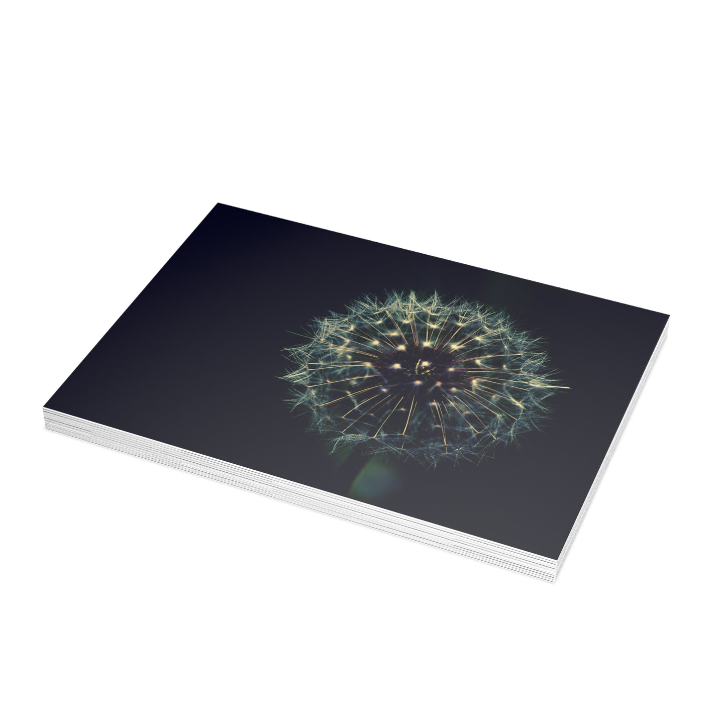 Dandelion Wishes Blank Greeting Cards