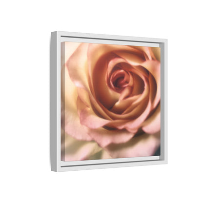 Romance Pink Rose Matte Framed Canvas