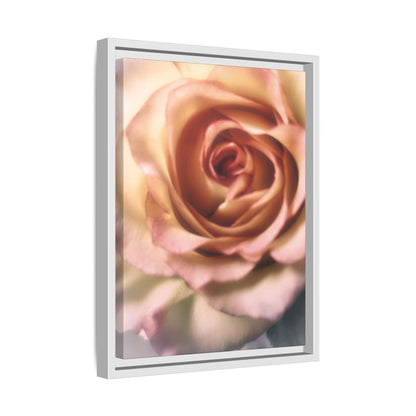 Romance Pink Rose Matte Framed Canvas