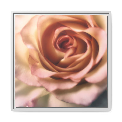 Romance Pink Rose Matte Framed Canvas