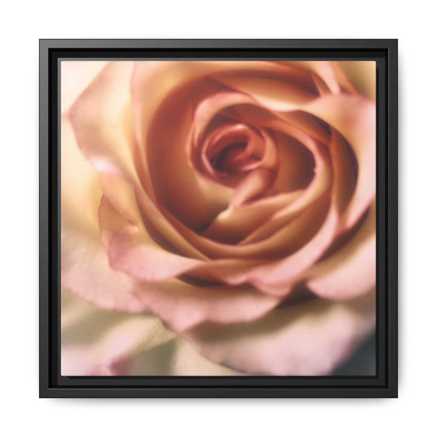 Romance Pink Rose Matte Framed Canvas