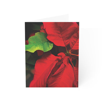 Poinsettia Blank Greeting Cards