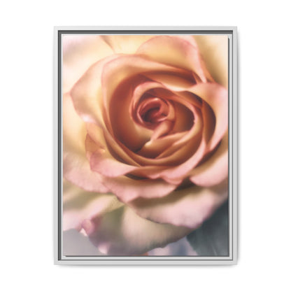 Romance Pink Rose Matte Framed Canvas