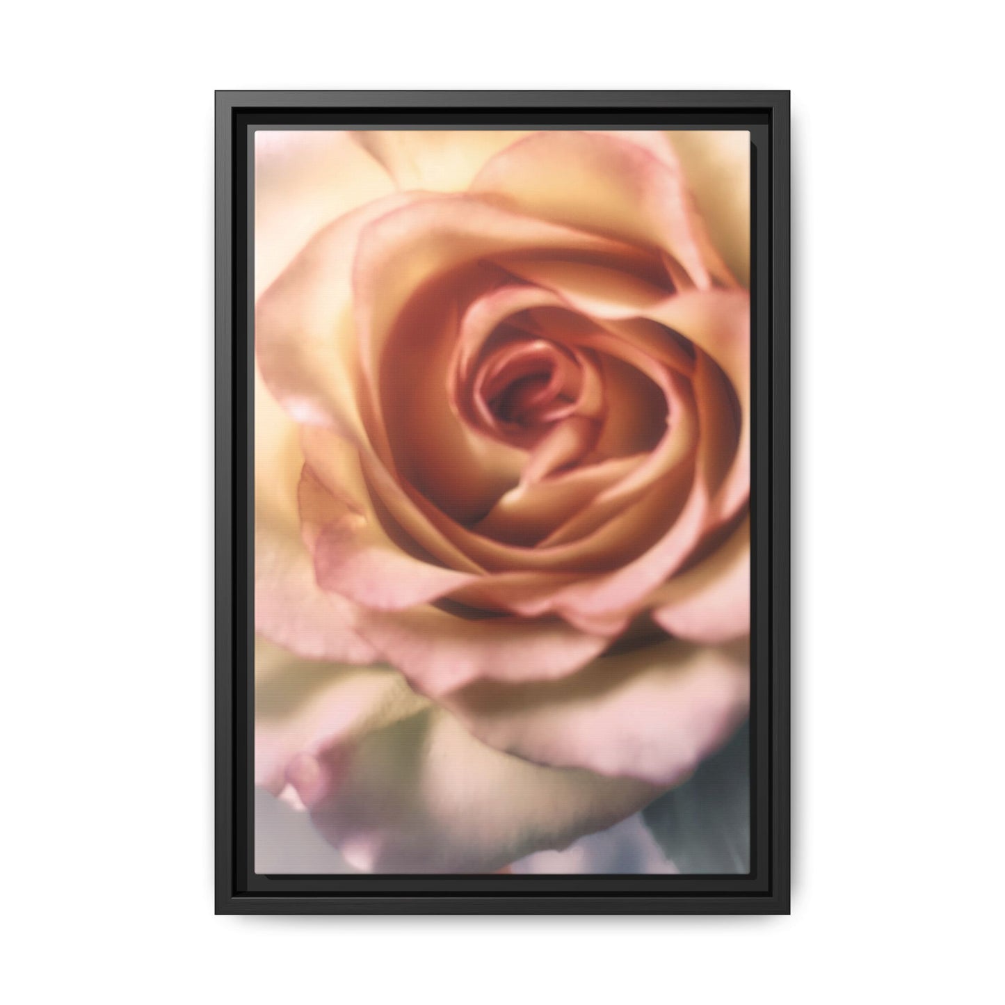 Romance Pink Rose Matte Framed Canvas