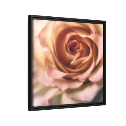 Romance Pink Rose Matte Framed Canvas