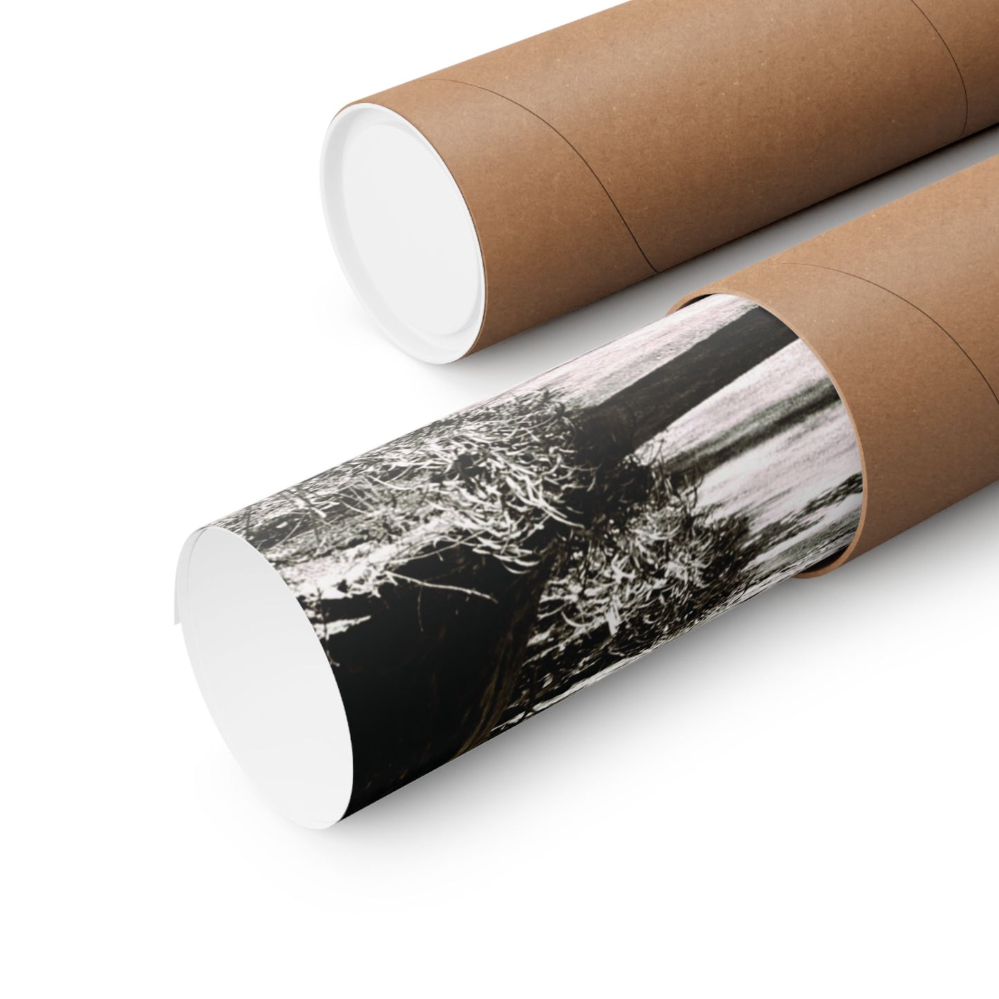 At the Center of the Garden Matte Posters