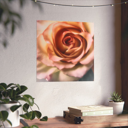 Romance Pink Rose Matte Posters