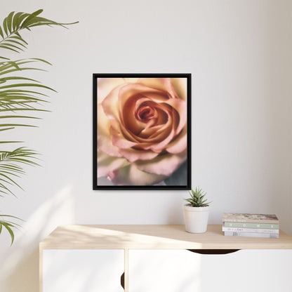 Romance Pink Rose Matte Framed Canvas