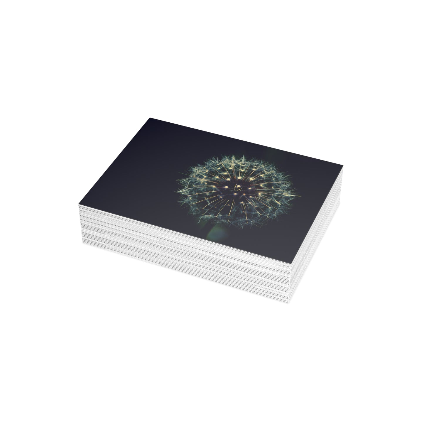 Dandelion Wishes Blank Greeting Cards