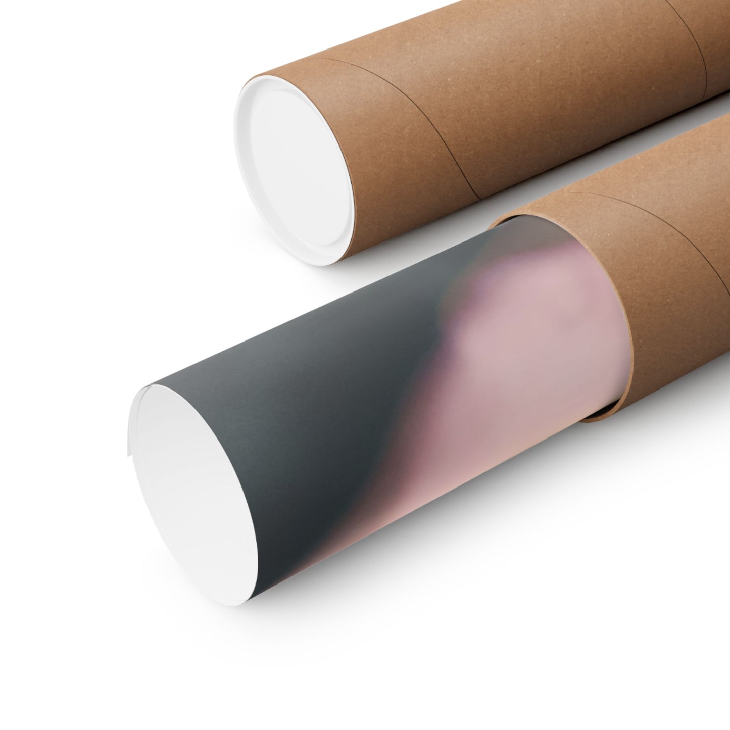 Romance Pink Rose Matte Posters