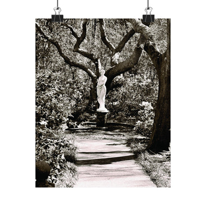 At the Center of the Garden Matte Posters