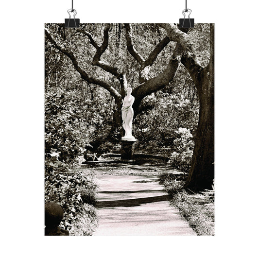 At the Center of the Garden Matte Posters