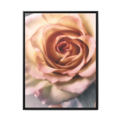 Romance Pink Rose Matte Framed Canvas