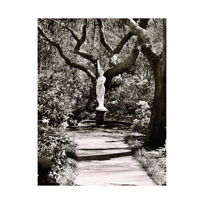 At the Center of the Garden Matte Posters